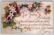 Postcard  Fair Trailing Arbutus  Out of the cold brown earth you bring Spring
