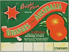 BRIGHT STAR - Oranges Original Fruit Crate Label  Melbourne, Victoria Australia