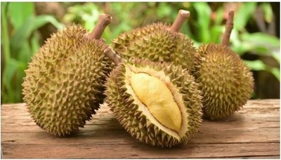 1 whole  FRESH Durian 5 - 6 lbs 1个新鲜榴莲 Tropical fruit exotic fruit Civet Fruit