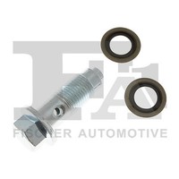 Fa1 989-16-001.021 Hohlschraube, LadegeräT FüR CitroËN, Ford, Ford Usa, Peugeot