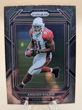 Anquan Boldin