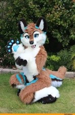 Long Fur Husky Dog Fox Mascot Costume Fursuit Halloween Suit Cosplay 338