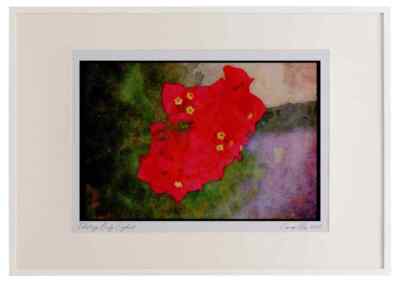 Wildblumen Pflanzen 013180 rote Blüten mit Blumen Staubblättern Aquarell Bild