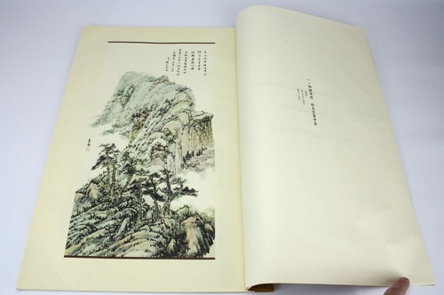Landscapes Orchid Bambus Und Blumen Gemälde Von Madame Chiang Kai-Shek, 1st Ed - Bild 7 von 12