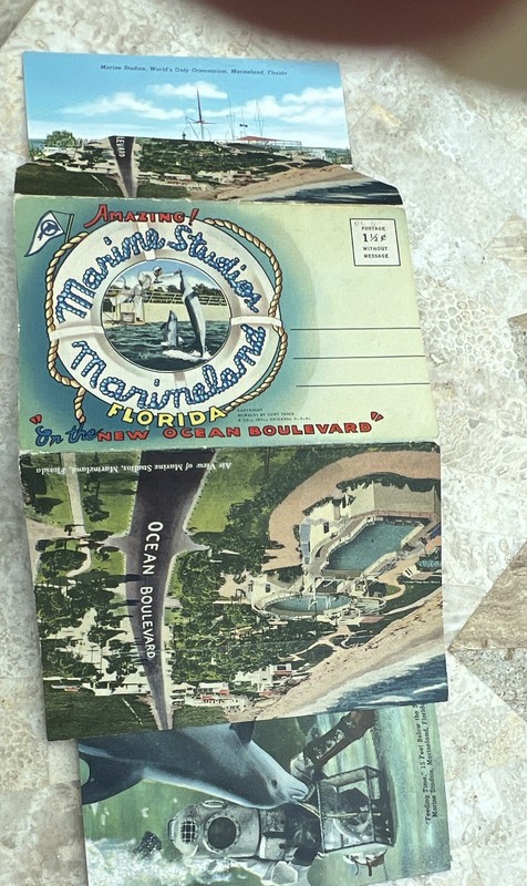 Marine Studios Marineland Florida Fold-Out Souvenir Postcard, used