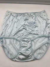 Vintage Fashions By Teri Granny Panties Blue Sheer Nylon Embroidered Flower Sz 9