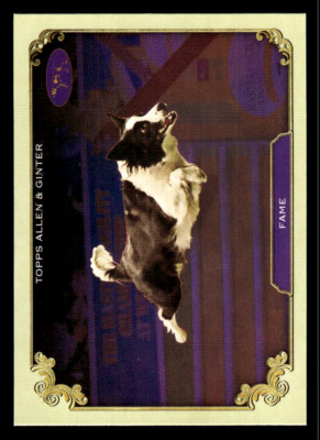 2024 Allen & Ginter stars of the show insert singles *Free Shipping*