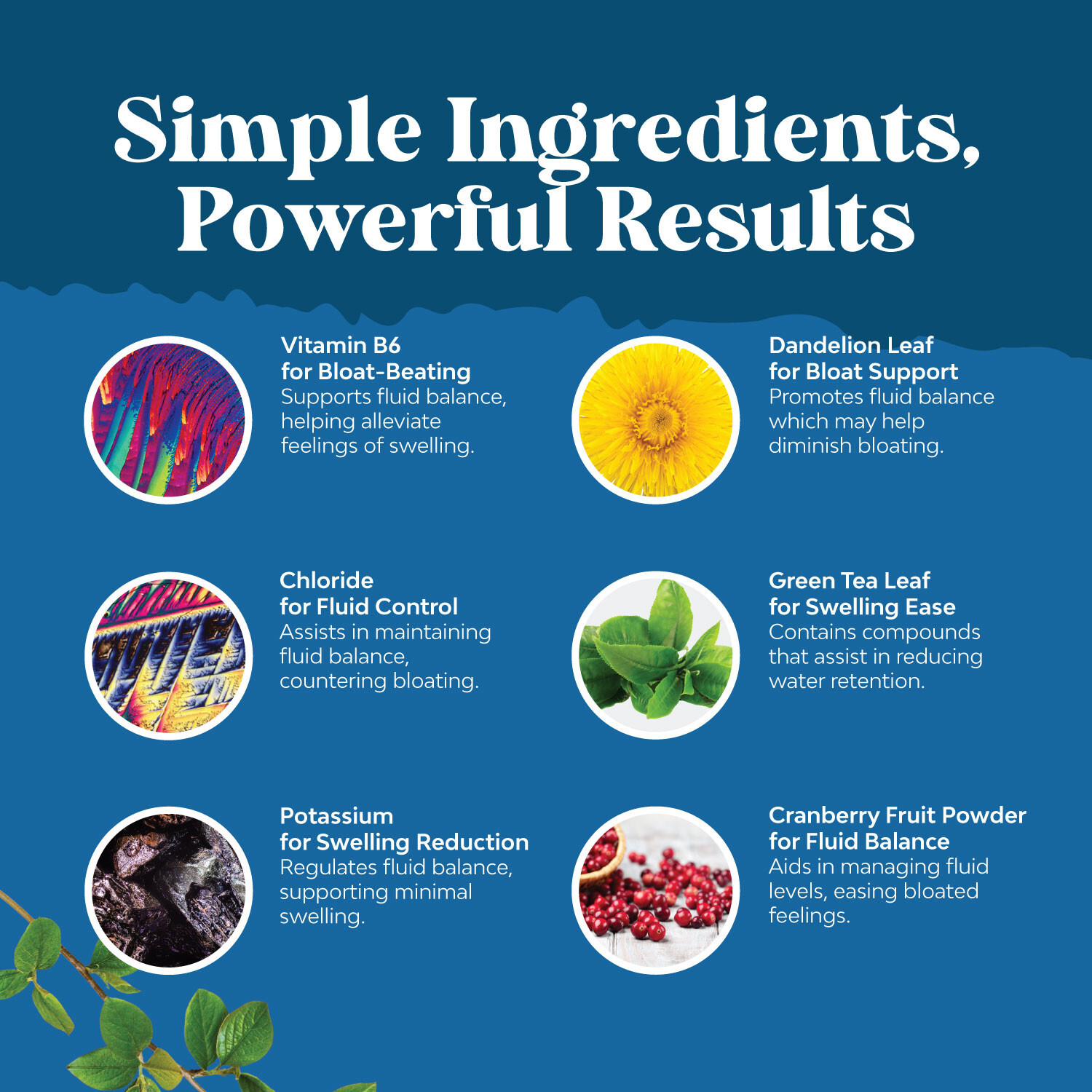 Water Away Pills Maximum Strength Herbal Diuretic Pills for Water Retention 90ct