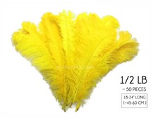 1/2 Lb 18-24" Yellow Ostrich Wing Plumes Wholesale Feathers Centerpiece Carnival