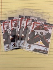 Adin Hill 5-Card ROOKIE Lot, 2019 AHL! Cup Champ, Golden Knights VGK Goalie