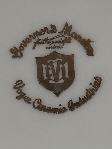 Plaque attachée bateau à sauce gouverneurs manoir Vogue Arlington dinde sarcelle/or - Photo 9/14