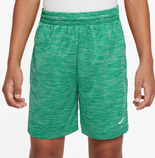 Nike Boys' Dri-FIT 5 In Shorts, Stadium Green/White, Various sizes