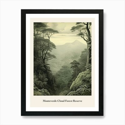 Monteverde Nebelwald Reservat Kunst Gerahmtes Wandbild Poster Leinwanddruck Bild