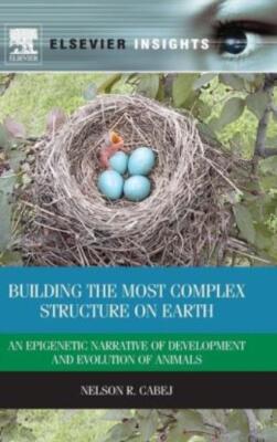 Building The Most Complex Structure On Earth: An Epigenetic Narrative Of De...