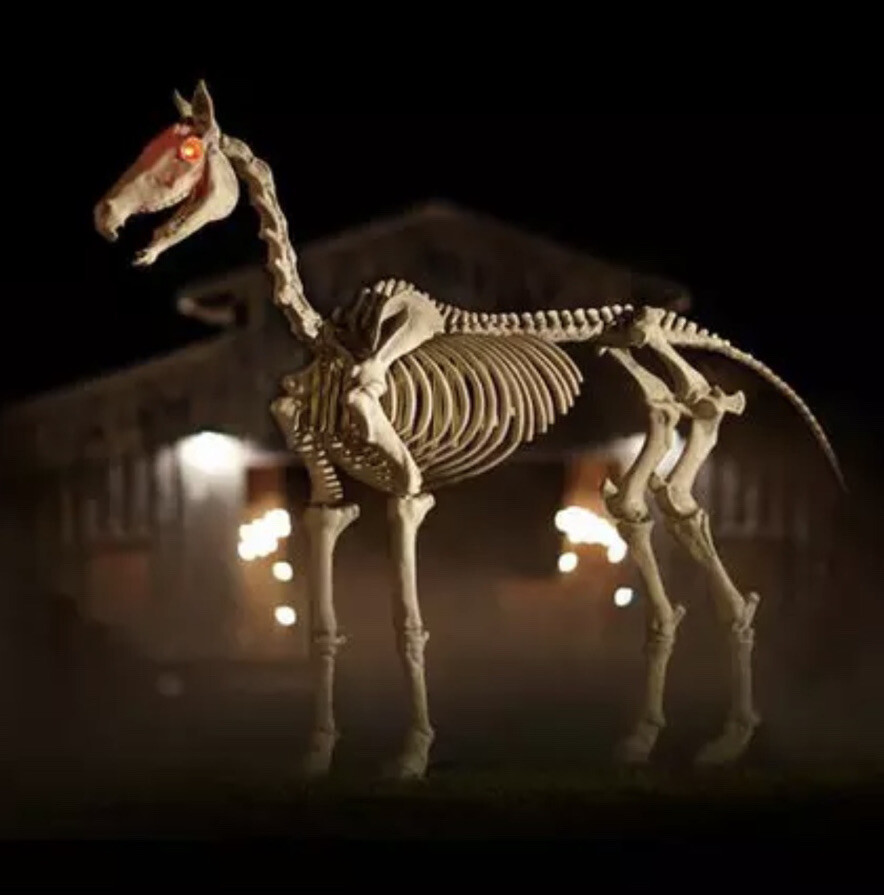Home Accents Holiday Skeleton Horse 634286676 The Home, 59 OFF