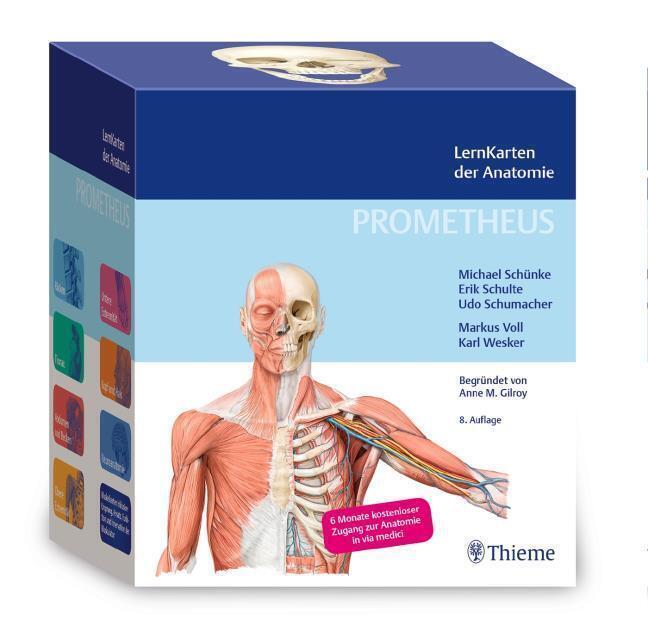 Thumbnail - Prometheus Lernkarten Der Anatomie Michael Schünke