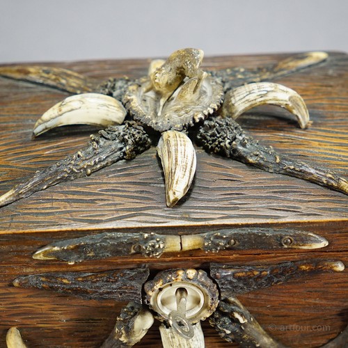 Wooden Black Forest Casket with Antlers Decoration circa 1900s - Bild 5 von 7
