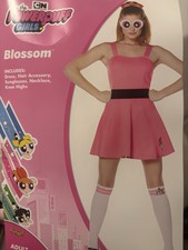 The Powerpuff Girls  Blossom  Custome By Cartoon Network