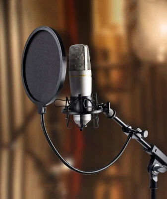 TECHTONGDA 5" Microphone Wind Screen Mask Gooseneck Filter Studio Tool Double Layer Screen