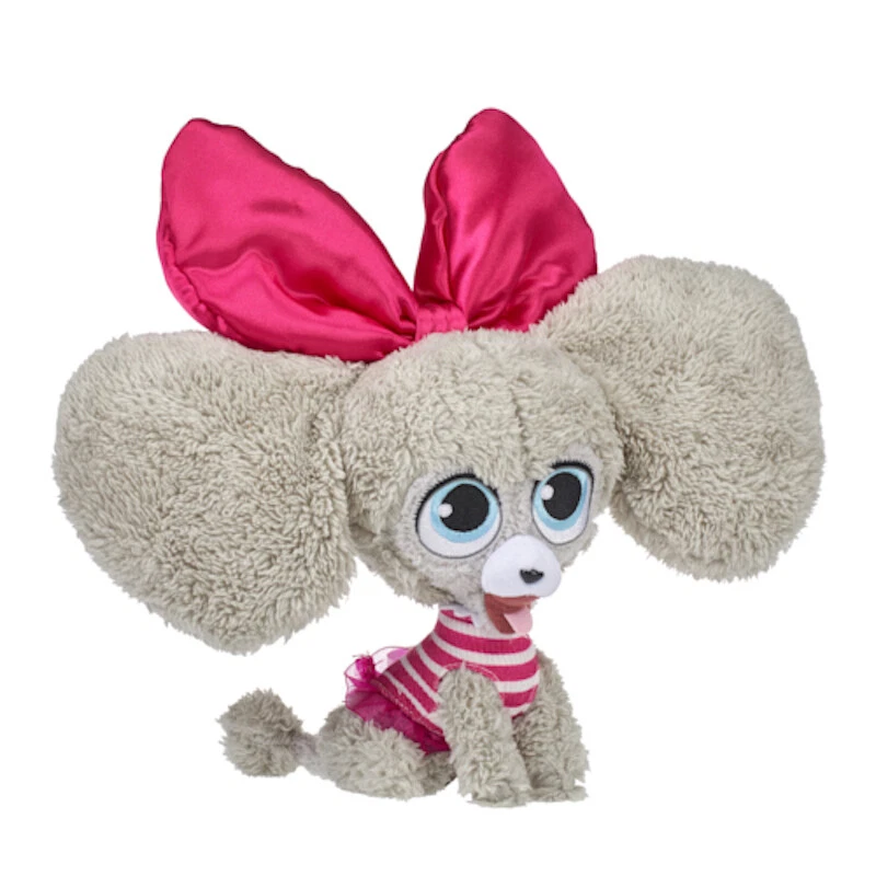 Toy poodle cheap life