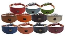 Leather Collar For Iggy, Whippet, Greyhound, Lurcher Decorative Stud Design DS 2