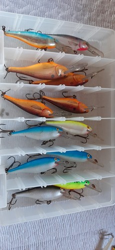 Vintage Rapala Shad Rap lot