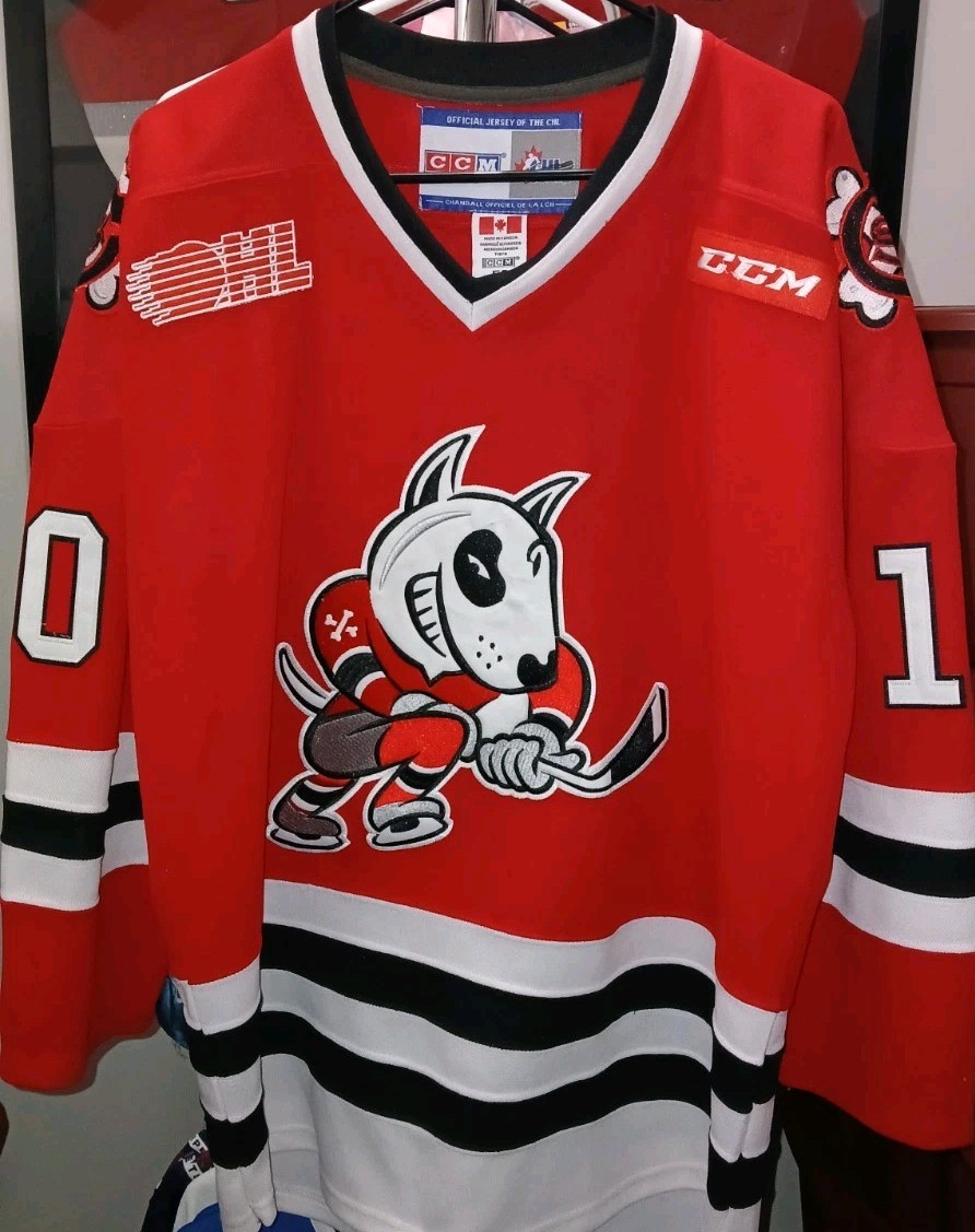 #10 Alex PIETRANGELO Niagara ICEDOGS Replica REEBOK Jersey, Size Men's 52/XL thumbnail 2