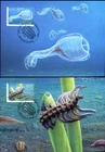 2026 Creatures of the Palaeozoic  - Maxi Cards (4)
