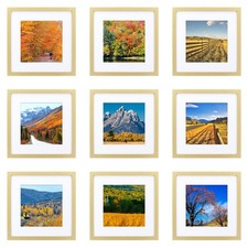 12x12 Gold Picture Frame Set of 9, Display Pictures 8x8 with Mat or 12 x 12 w...