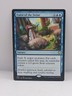 MTG Magic the Gathering Curse of the Swine (37/127) Kaldheim Commander NM