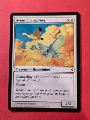 The 40 Best Birds in Magic Ranked The 40 Best Birds in Magic Ranked