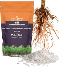 Monopotassium Phoshpate (MKP) Fertilizer | Highly Water Soluble | 0-52-34 (1 Pou