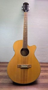 Epiphone Pr350 | eBay