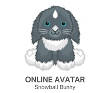 Webkinz Classic Snowball Bunny Christmas Pet Code Only