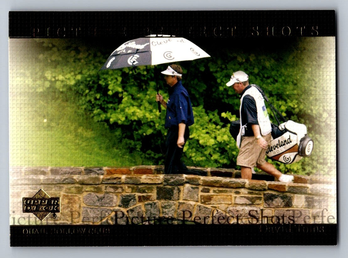 2004 UPPER DECK GOLF CARD PICTURE PERFECT SHOT #75  DAVID TOMS