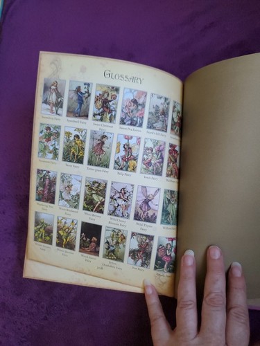 The Girls' Book of Flower Fairies (HC, 2008) Frederick Warne (Crafts & Stories) - Imagen 18 de 23