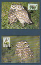 a WWF carte  Aruba Antilles  faune nature oiseaux  hibou fouisseur  1994