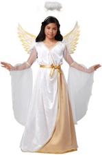 Guardian Angel Heaven Child Costume