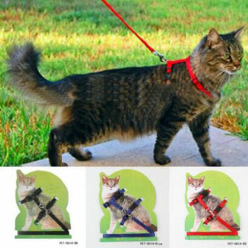 Pet Cat Kitten Adjustable Harness Collar Durable Animal Walking Lead Pet Rabbit - Picture 1 of 13