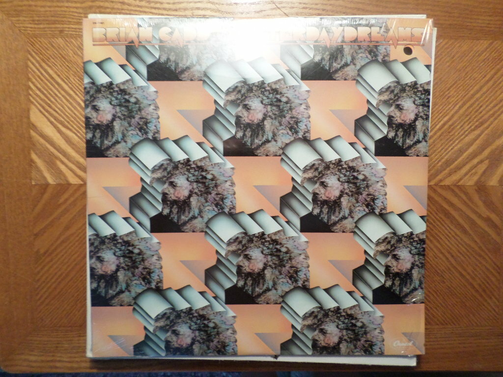 AOR LPレコードBrian Cadd /Yesterday Dreams Brian Cadd