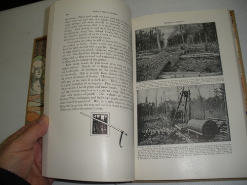 The How and Why Library for Children 5 Volumes C.1939 - Imagen 5 de 10