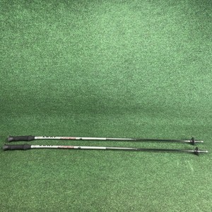 Leki Carbon Ski Poles | eBay