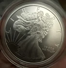 2oz Walking Liberty.999 Flawless Fine Silver Round Capsule-See My Other Listings