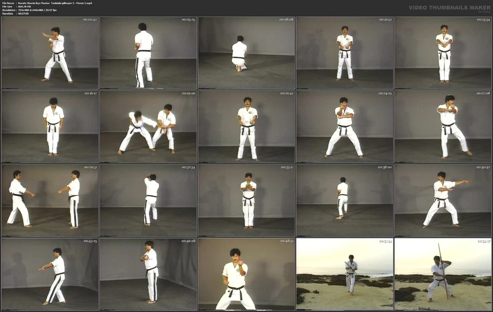 Shorin Ryu Karate starring Master Toshiaki Gillespie (6 DVD Set) Foto 3 de 4