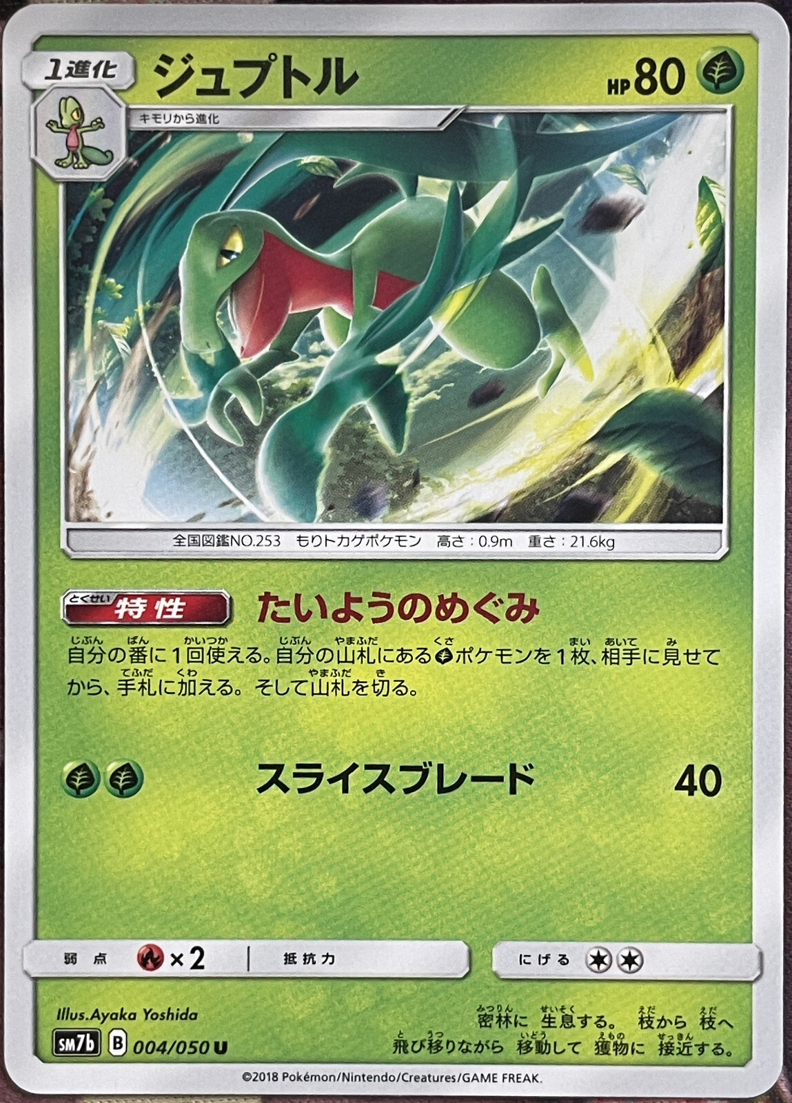 Grovyle - 004/050 U - Fairy Rise SM7b Pokemon 2018
