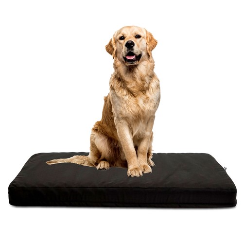 Cuscino ORTOPEDICO per cani - Jump - Foto 29 di 40