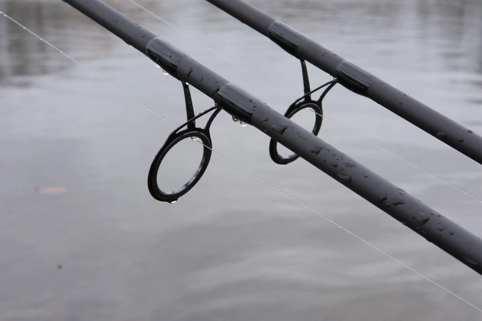 Wycwood Riot Eva Pesca de Carpas Barra Caña Pescador Carbono Empunadura - Imagen 4 de 4