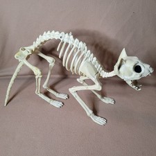 Halloween Standing Skeleton Cat 9 3/4" Tall x 16" Long, Moveable Mouth