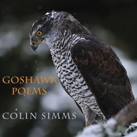 Goshawk Poems Colin Simms Taschenbuch Kartoniert / Broschiert Englisch 2017