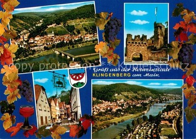 Klingenberg Main Panorama Blick ins Maintal Clingenburg
